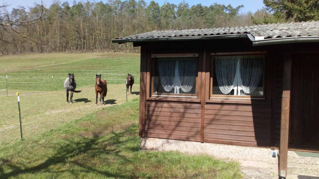 Reitstation Rossmuehle Apartment Grafendorf  Luaran gambar